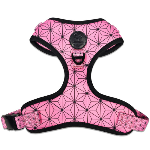Asanoha Harness