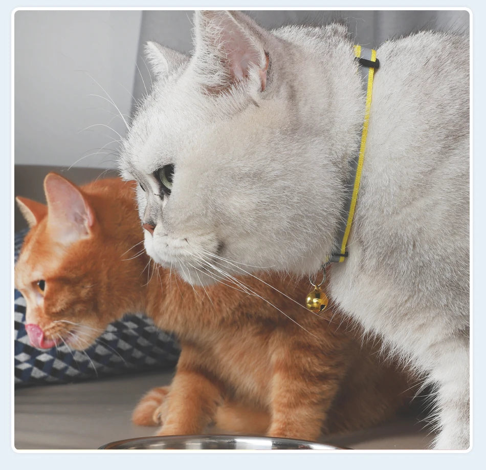 ROJECO Cat Collar with Bell Reflective Colorful Night Safety Collar For Cats Adjustable Cat Kitten Necklace Pet Leash Supplies