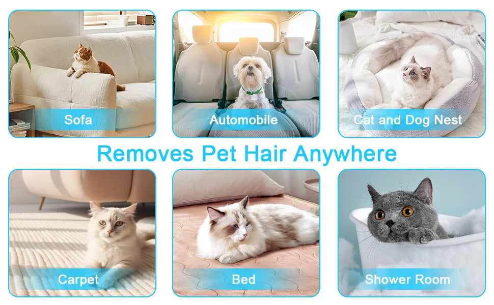 Pet Hair Remover, a Four in One Reusable Tool for Dog and Cat Hair Removal - Suitable for Sofas, Carpets, and Car Seats