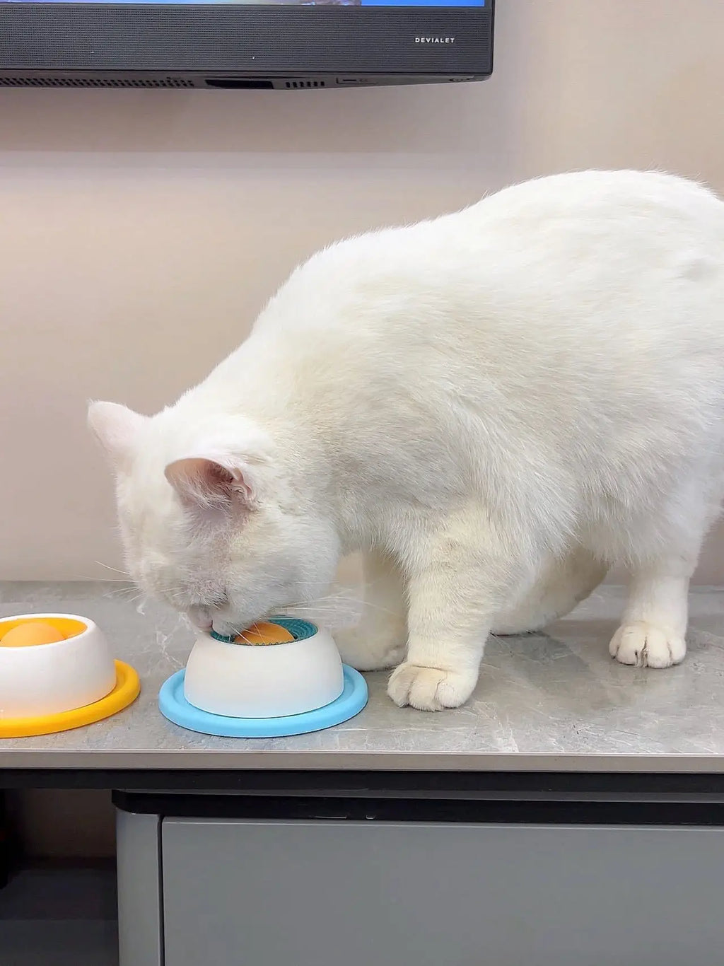 Lick Toys for Dogs Interactive Dog Toys Slow Feeder Food Dispenser for Puppy Training Enrichment Cat Feeding Crate Accessory