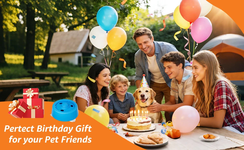 Slow Feeder Dog Bowl, Lick Ball Lid, Anti-Slip Suction Cups, for Wet Food, Bone Broth and Liquid Treats, Ideal for Small Dogs
