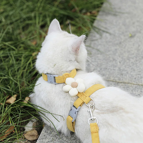 Cat Harness and Leash Sets Adjustable Dog Harness for Small Dog Leash Breashable Pet Harness Out Walking Dog Strap