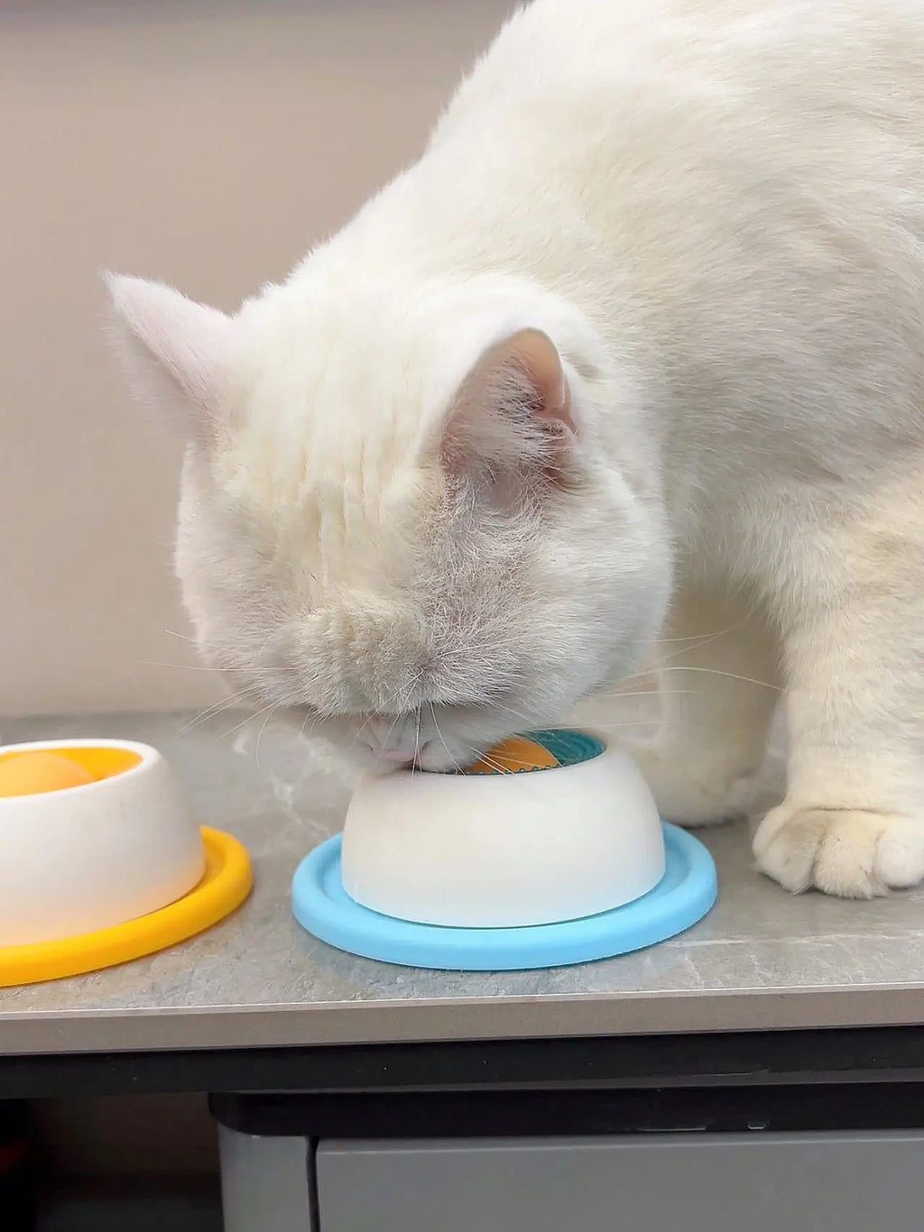 Lick Toys for Dogs Interactive Dog Toys Slow Feeder Food Dispenser for Puppy Training Enrichment Cat Feeding Crate Accessory