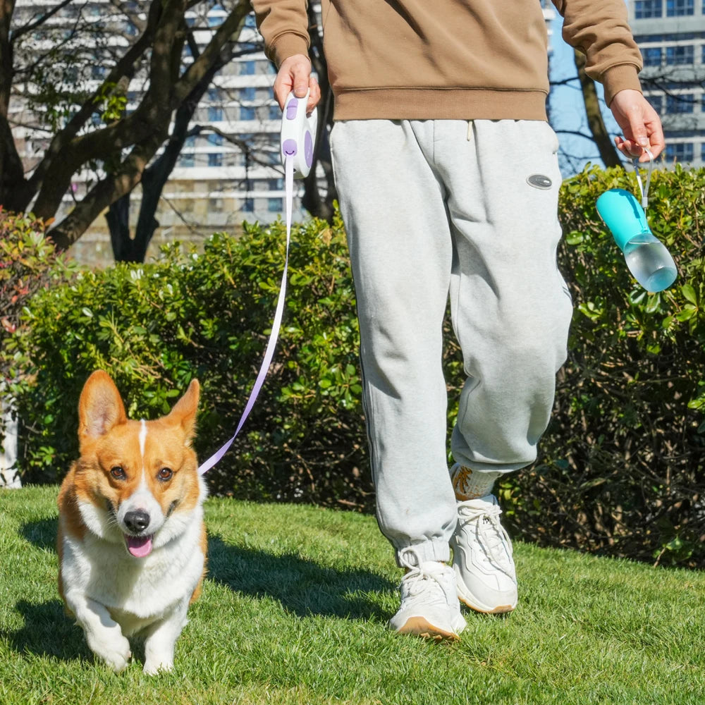 Pet Dog Water Bottle 300ML Puppy Drinking Bowls For Small Medium Dogs Cats Hiking Portable Cat Feeder Golden Retriever Supplies