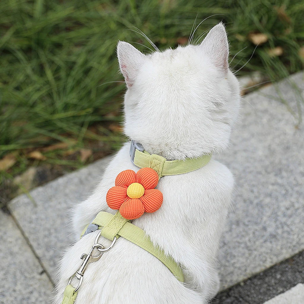 Cat Harness and Leash Sets Adjustable Dog Harness for Small Dog Leash Breashable Pet Harness Out Walking Dog Strap Cat Accessory