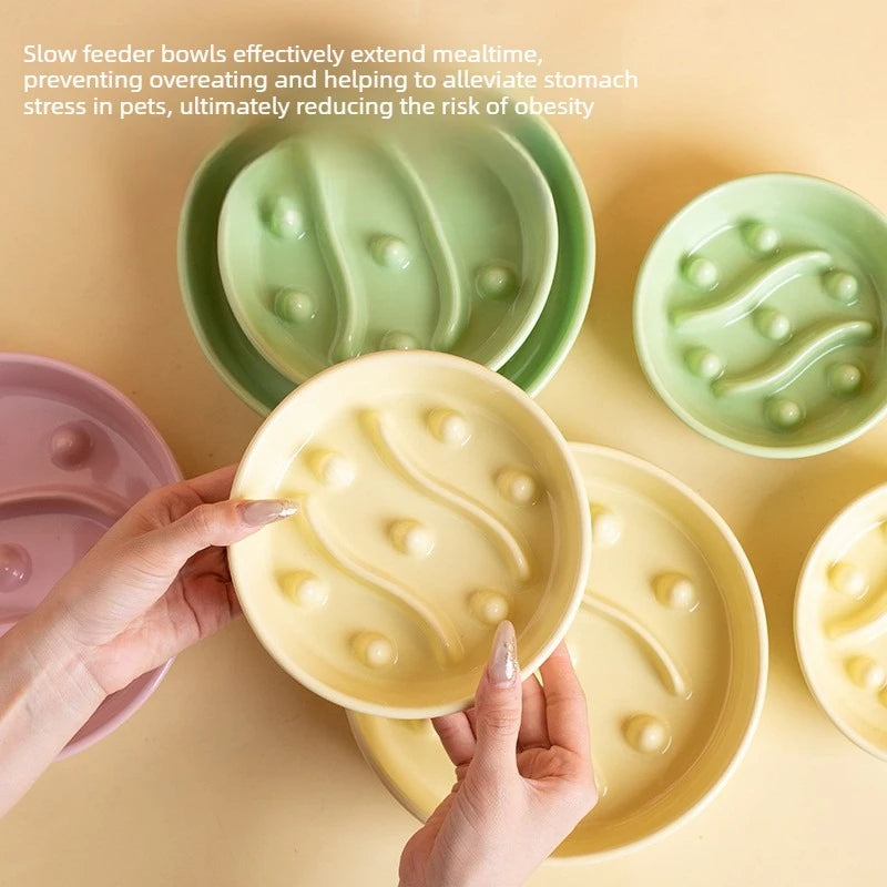 Slow Feeder Pet Bowl with Anti-slip Base Against Tipping Curved Ridges Slow Eating To Prevent Choking for Dry Wet Food