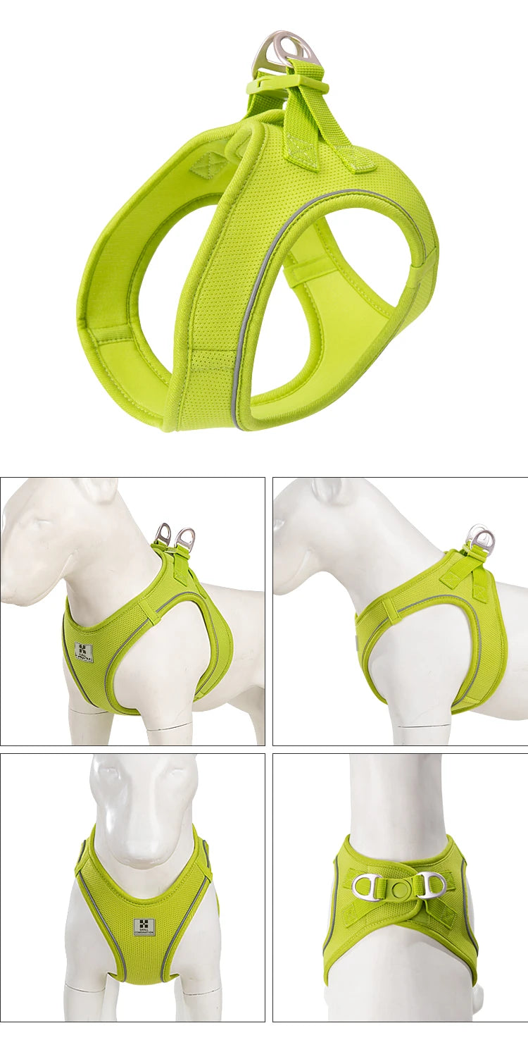 Dog Harness Leash Set for Small Medium Dog Adjustable Reflective Puppy Cat Harness Pet Vest Chihuahua Dachshund Outdoor Walking