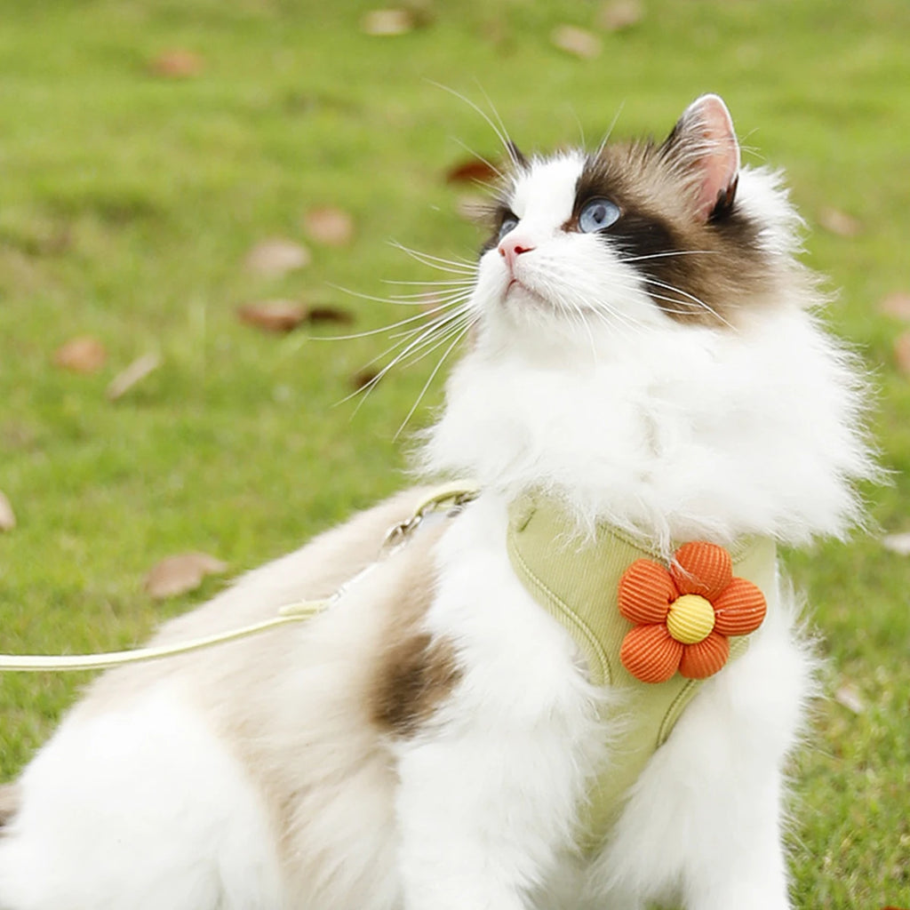 Cat Harness and Leash Sets Adjustable Dog Harness for Small Dog Leash Breashable Pet Harness Out Walking Dog Strap