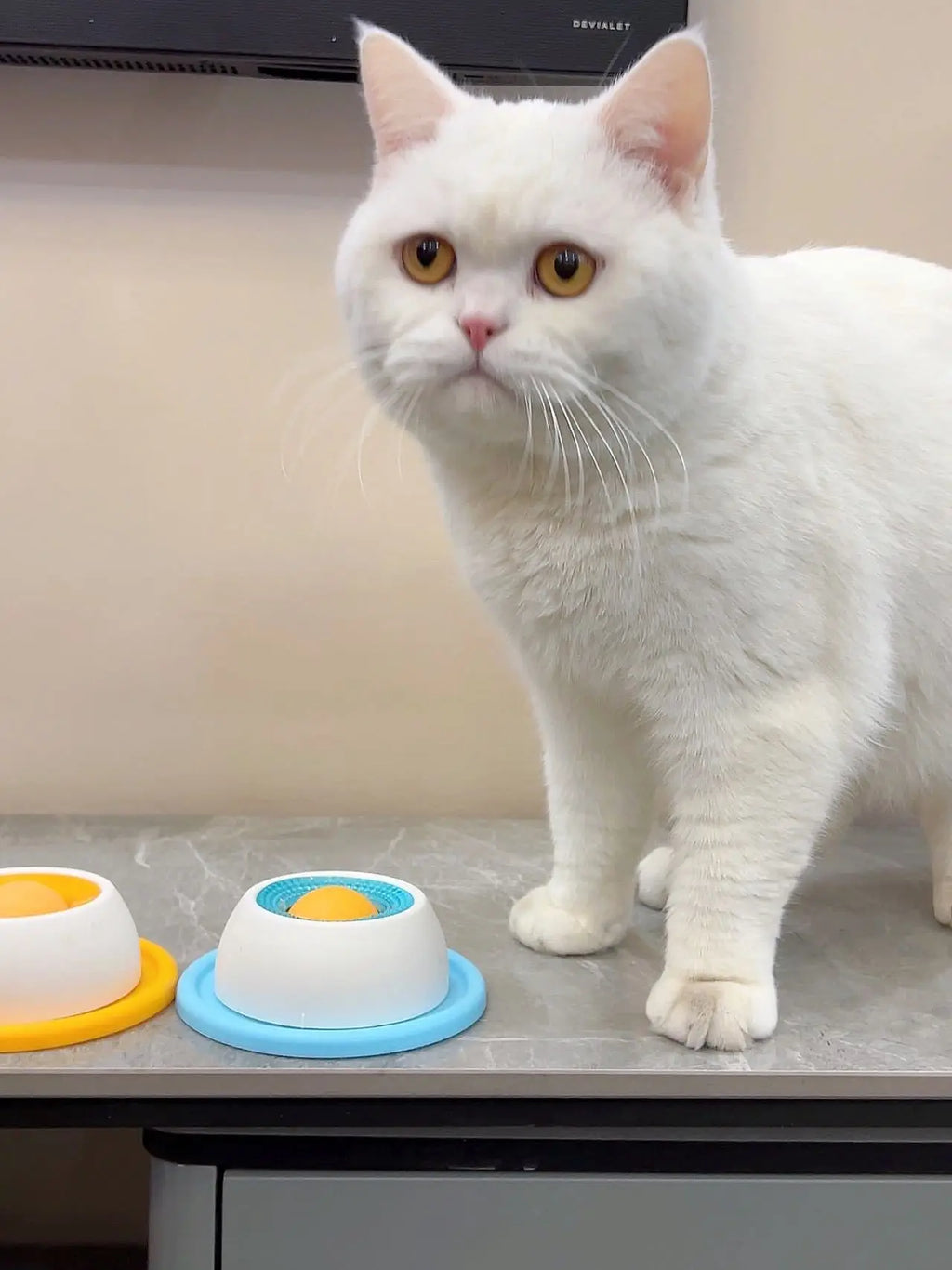 Lick Toys for Dogs Interactive Dog Toys Slow Feeder Food Dispenser for Puppy Training Enrichment Cat Feeding Crate Accessory