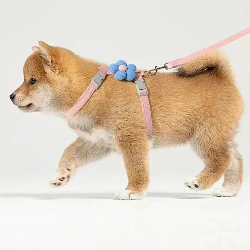 Cat Harness and Leash Sets Adjustable Dog Harness for Small Dog Leash Breashable Pet Harness Out Walking Dog Strap Cat Accessory