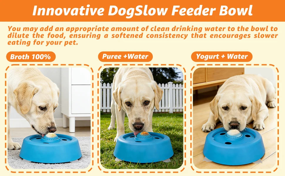 Slow Feeder Dog Bowl, Lick Ball Lid, Anti-Slip Suction Cups, for Wet Food, Bone Broth and Liquid Treats, Ideal for Small Dogs