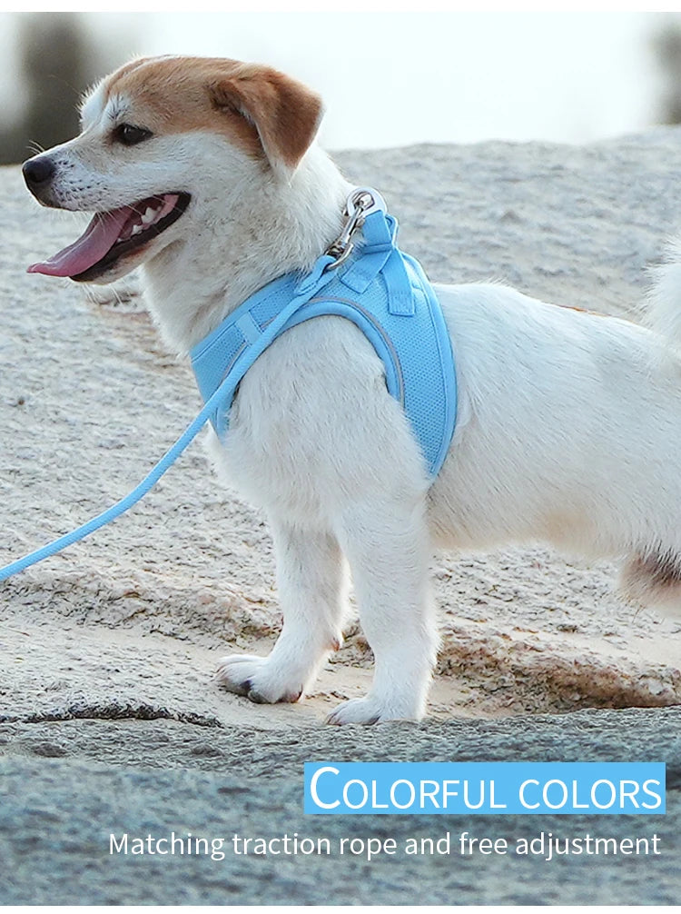 Dog Harness Leash Set for Small Medium Dog Adjustable Reflective Puppy Cat Harness Pet Vest Chihuahua Dachshund Outdoor Walking