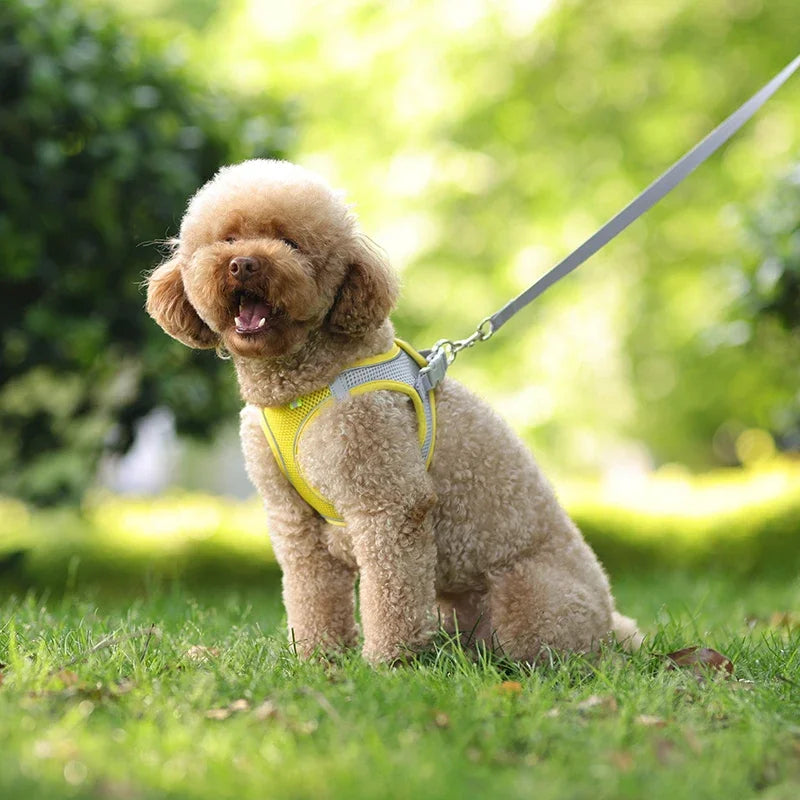 Puppy Harness Set Dog Accessories Adjustable Puppy and Cat Harness Vest French Bulldog Chihuahua Small Dog Collar Pet Leash Dogs